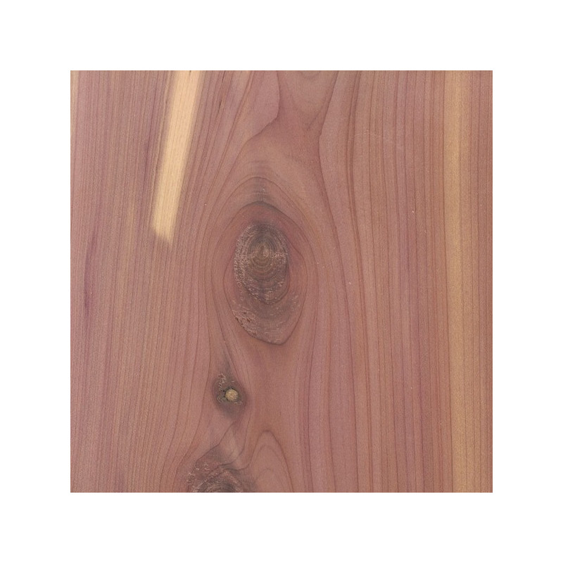 Exotic Timber